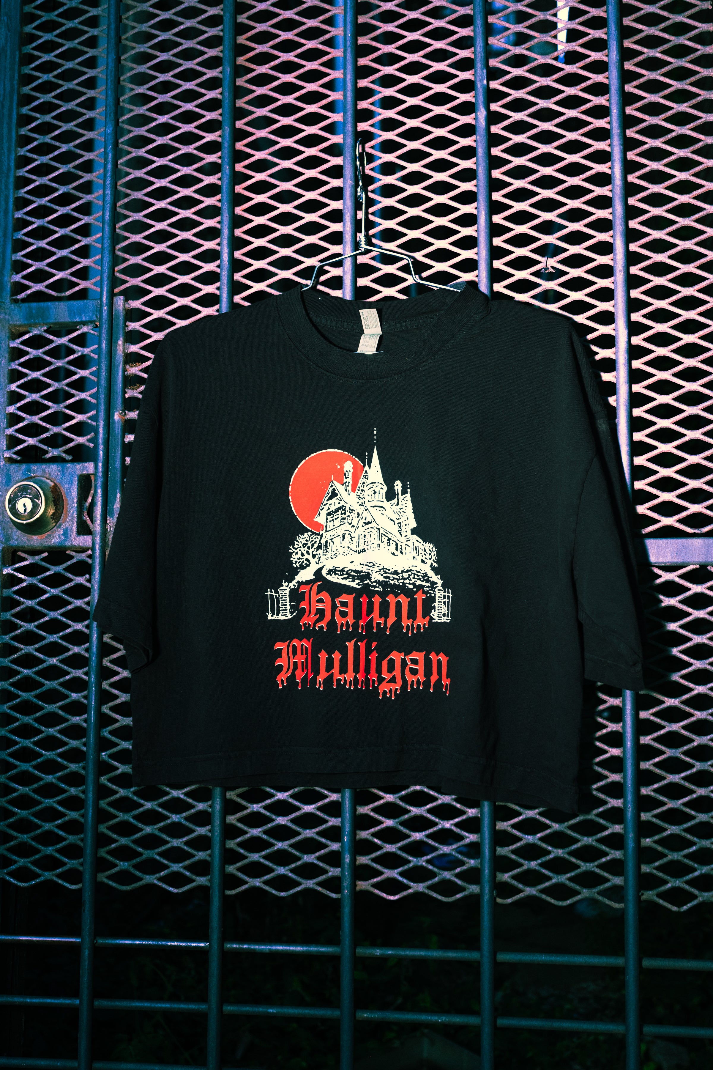 Haunted House Crop Tee – Hot Mulligan